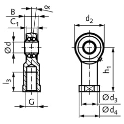 Gelenkkopf BR DIN ISO 12240-4 Maßreihe K Innengewinde M30x2 links mit Pendelkugellager, Technische Zeichnung