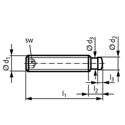Gewindestift DIN 6332 mit Druckzapfen mit Innensechskant Gewinde M12 Gesamtlänge 100mm rostfreier Stahl, Technische Zeichnung