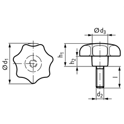 Sterngriffschraube GV ähnlich DIN 6336 Thermoplast ø40 M8x40, Technische Zeichnung