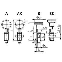 Rastbolzen 717 Form B Bolzendurchmesser 6mm Gewinde M12x1,5 Edelstahl, Technische Zeichnung
