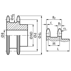 Doppel-Kettenrad ZRENG für 2 Einfach-Rollenketten 16 B-1 1"x17,02mm 14 Zähne Material Stahl Zähne gehärtet, Technische Zeichnung